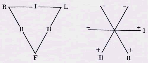 Einthovenの正三角形模型と三軸座標系